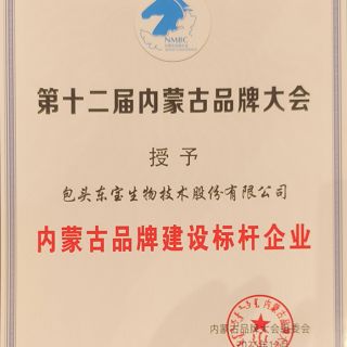 内蒙古民族品牌建设标杆企业